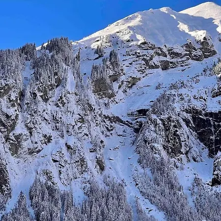 Waterfall View Apartment Kandersteg