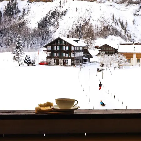 Waterfall View * Kandersteg