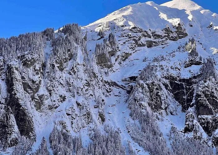 Waterfall View 公寓 坎德施泰格