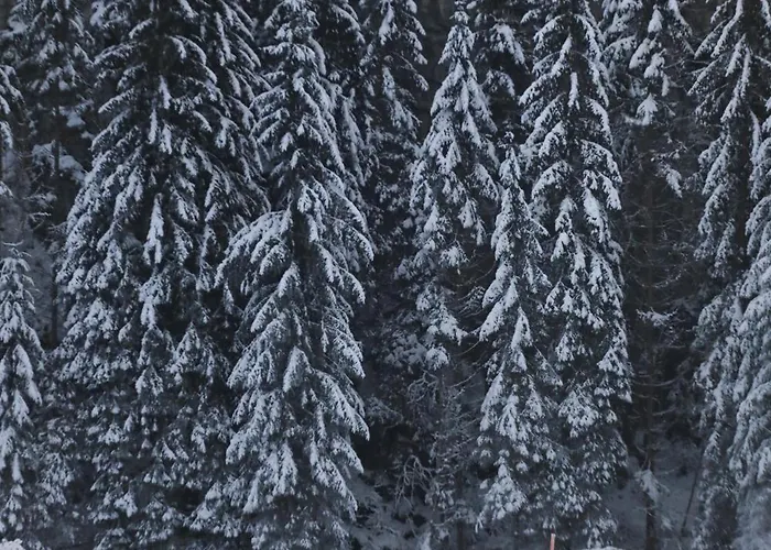 Waterfall View Apartament *