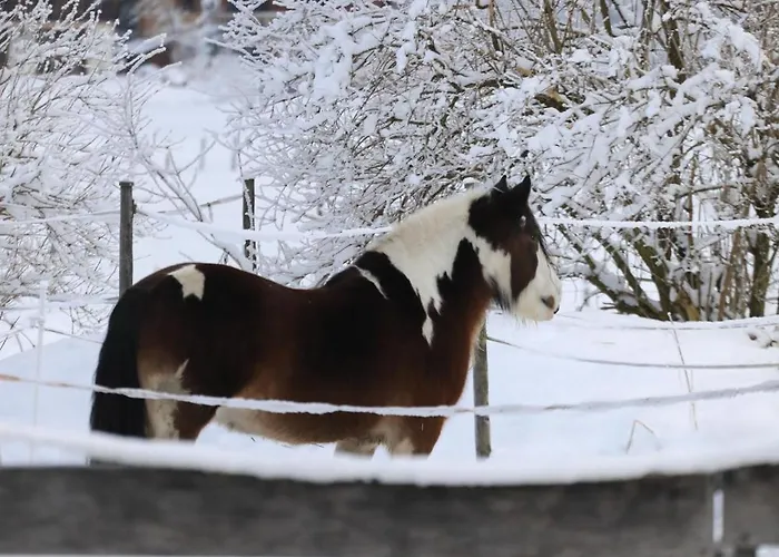 Apartament Waterfall View