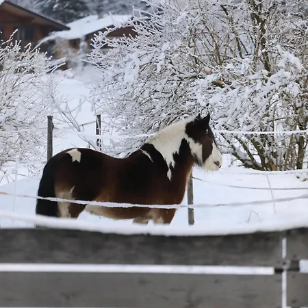 דירה Waterfall View